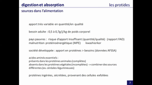 système digestif - absorption