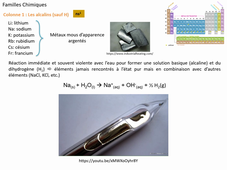Chapitre 2 - Capsule vidéo 4 (supplément)