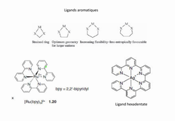 NCV-Del Guerzo-Chap3