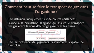 TUTORAT Semaine 4 - UE SDV2