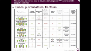 vidéo support de la séquence 4 = cours d'Amelie RABOT