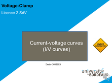 Voltage-Clamp & I/V curves