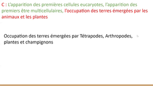 Enregistrement TUTORAT SEMAINE 42
