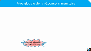 Bases immunologiques de la vaccination-1