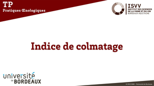 Indice de colmatage