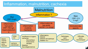 La dénutrition : mécanismes