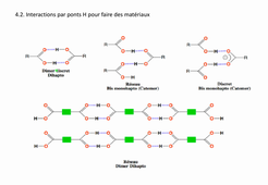 NCV-Del Guerzo-Chap4