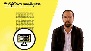 Les plateformes numériques 