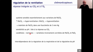 Régulation de la ventilation (2)