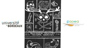 The use of forensic methods to analyse marks of violence in Upper Paleolithic and Neolithic periods