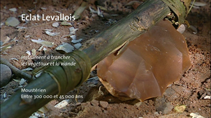 ECLAT LEVALLOIS_VF.mp4