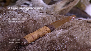 LAME AURIGNACIENNE_VF.mp4