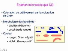 Diagnostic bactériologique direct