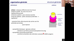 les appareils circulatoires