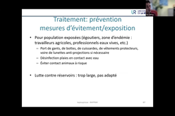 Leptospirose en milieu tropical  épidémiologie, enjeux diagnostiques et thérapeu.mp4