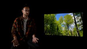 OPTImisation des VALeurs forestières