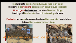 xixarien hazkuntza SUB FR.mp4