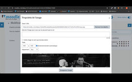 Autoformation Moodle - Livre