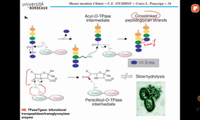 Chimie Med. - Cours LP #10 (15/03/2021)