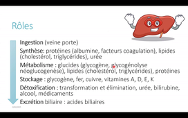DEUST Guadeloupe _Rein intestin pancréas et foie.mp4