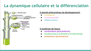 2026 02 26 Séance 2 SdV4 (Semaine 9)