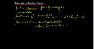 comprendre la D.S.F.