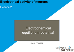 Electrochemical gradients and equilibrium