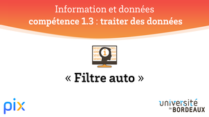 PIX - Compétence 1.3 - Filtre auto
