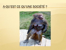 résumé chapitre introductif au cours