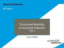Neural Networks - Plasticity part 1 - Denis COMBES