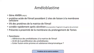 Amélogénèses imparfaites