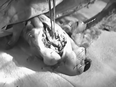 A la recherche omble chevalier-film-JCM-en-NetB.avi