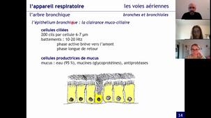 la respiration (1)