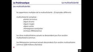histoire de la vie sur Terre, partie 1