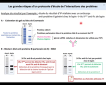 2024 10 11 CAPSULE 3 - IP (FR)