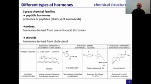 endocrinology, part 1
