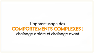 19.2 L'apprentissage des comportements complexes : chaînage arrière et chaînage avant