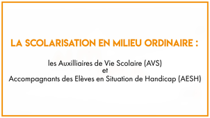 35.1_La scolarisation en milieu ordinaire: les Auxilliaires de Vie Scolaire (AVS) et Accompagnants des Elèves en Situation de Handicap (AESH)