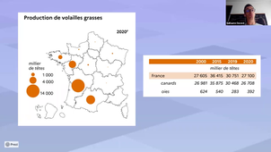 Agroressources, Filières / CM G. Durand / Filières animales