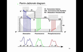 Cours-NO-Del Guerzo-16Mars2021