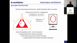 le système respiratoire (L6-2)