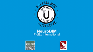 Roche vision of the future of industrial research in Neuroscience and future jobs