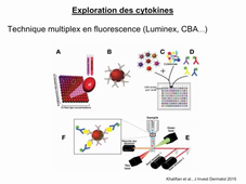 Cours DFGSM2 Les cytokines Partie 3 par Jonathan Visentin