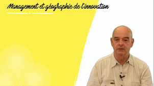 Les autres sciences de l'innovation : le management et la géographie 