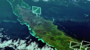 animal mind FULL.mov