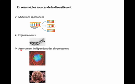 Evolution des génomes et sources de la variabilité génomique 2/2 (durée : 46min45sec)