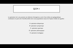TUTORAT Semaine 46