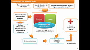 partie 2 -  Drug Design (4TCH804U - Chimie médicinale 1 )