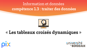 PIX - Compétence 1.3 - Tableaux croisés dynamiques