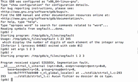 GDB - Segfault